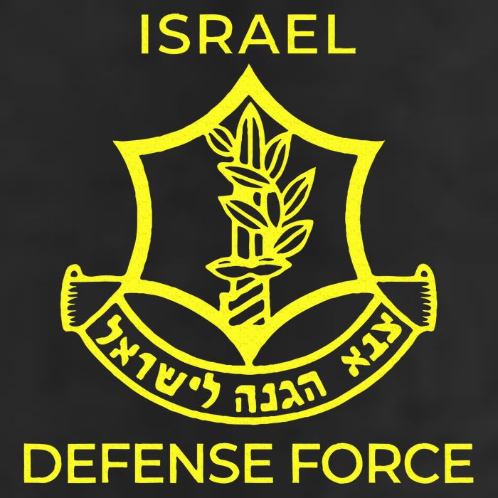 Israel Defense Force IDF  11oz C Handle Ceramic Mug