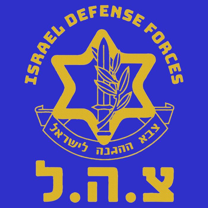 Israel Defense Forces  IDF  Israeli Military Army  Tzahal  16 in Basic Backpack