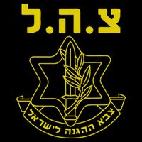 Israel Defense Forces Idf Tzahal Wool Snapback Cap