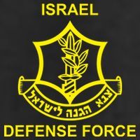 Israel Defense Force 11oz C Handle Ceramic Mug