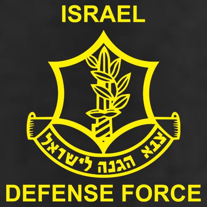 Israel Defense Force 11oz C Handle Ceramic Mug