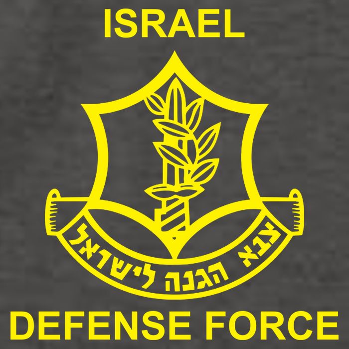Israel Defense Force Vector Backpack
