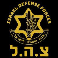 Israel Defense Forces Idf Israeli Military Army Tzahal T-Shirt
