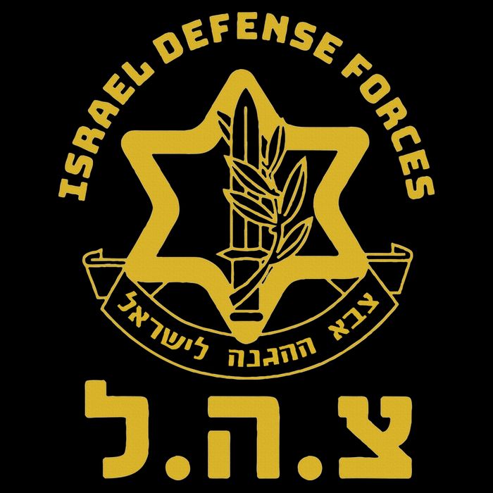 Israel Defense Forces Idf Israeli Military Army Tzahal T-Shirt