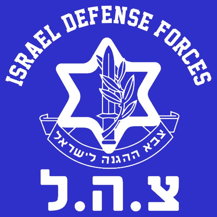Israel Defense Forces Jewish Star Womens Tank Top