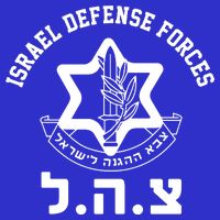 Israel Defense Forces Jewish Star Toddler T-Shirt