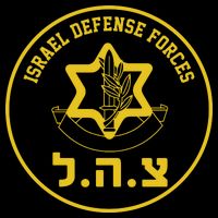 Israel Defense Forces Cooling Performance Crew T-Shirt