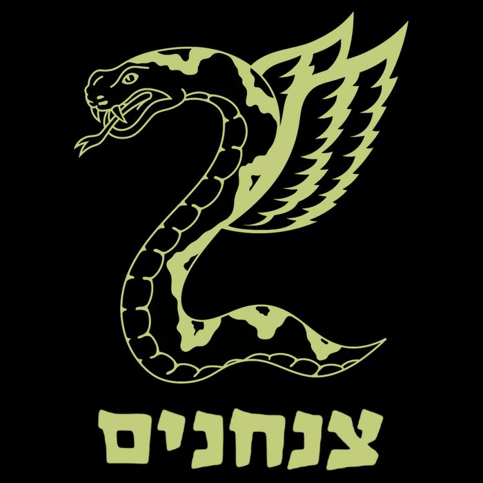 Israel Defense Forces Insignia Impact Tech Backpack