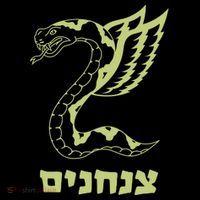 Israel Defense Forces Insignia Flatbill Hat