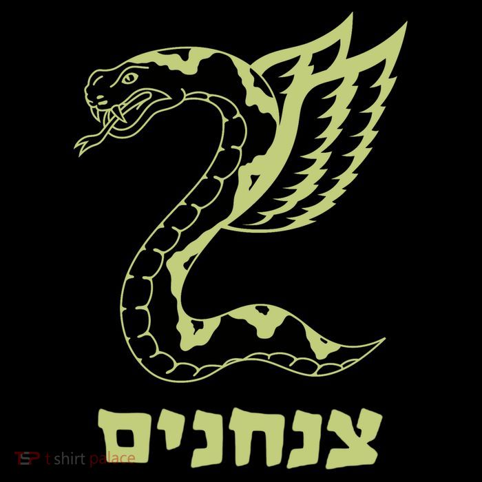 Israel Defense Forces Insignia Women's V-Neck T-Shirt