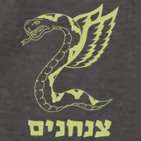 Israel Defense Forces Insignia Vector Backpack
