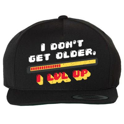 I Dont Get Older I Level Up Gift Wool Snapback Cap