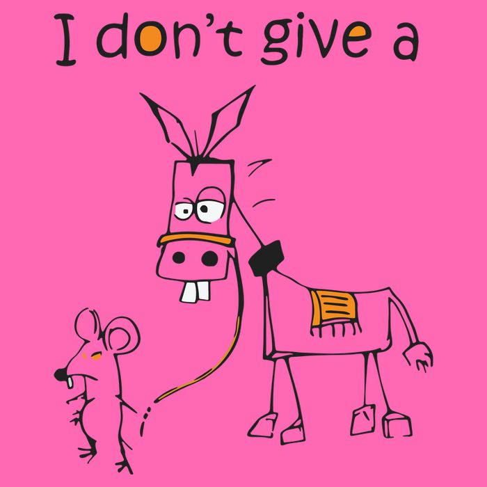 I Dont Give A Rat Ass Donkey And Mouse Walking Funny VNeck Stripe Pom Pom Beanie