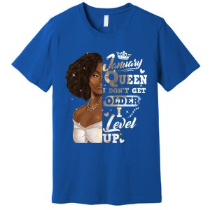 I Dont Get Older I Level Up African American January Gift Premium T-Shirt