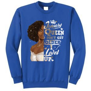 I Dont Get Older I Level Up African American January Gift Tall Sweatshirt