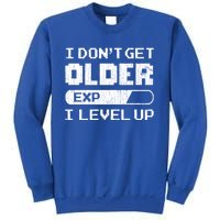 I Dont Get Older I Level Up Funny Gamer Gaming Graphic Gift Sweatshirt