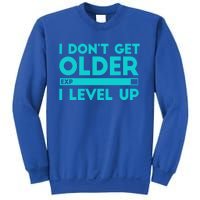 I Dont Get Older I Level Up Funny Tees For Family Gaming Cool Gift Sweatshirt