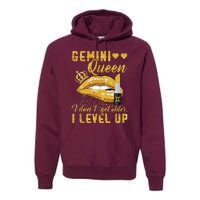 I Dont Get Older I Level Up Gemini Premium Hoodie