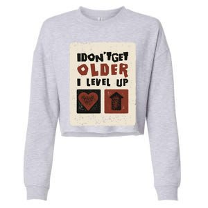 I Dont Get Older I Level Up Gamer Birthday Cool Gift Cropped Pullover Crew