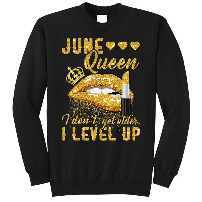 I Don't Get Older I Level Up June Tall Sweatshirt