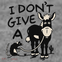 I DonT Give A Donkey Rat Funny Sarcastic Sustainable Beanie