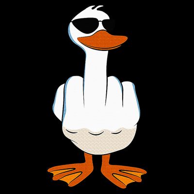 I DonT Give A Duck Funny Middle Finger Offensive Rude Duck T-Shirt