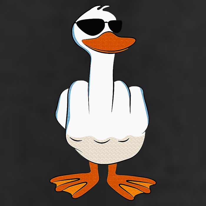 I DonT Give A Duck Funny Middle Finger Offensive Rude Duck Beanie