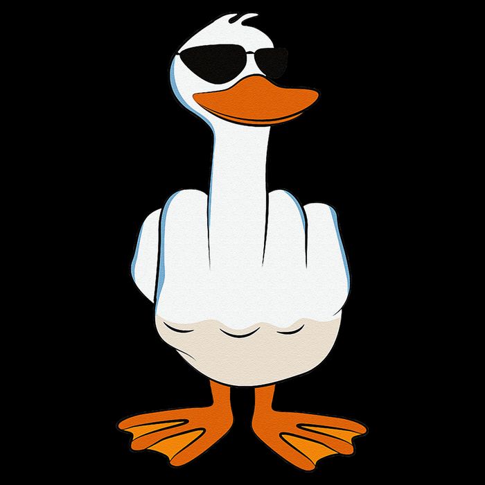 I DonT Give A Duck Funny Middle Finger Offensive Rude Duck Mousepad