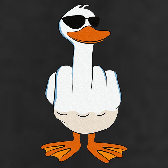 I DonT Give A Duck Funny Middle Finger Offensive Rude Duck Hat