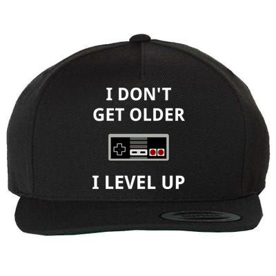 I Dont Get Older I Level Up Video Games Gaming Gift Wool Snapback Cap