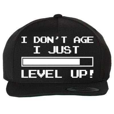 I Dont Get Old I Level Up Funny Retro Gamer Cute Gift Adult Great Gift Wool Snapback Cap