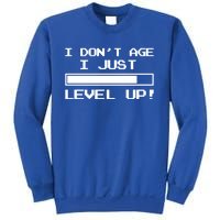 I Dont Get Old I Level Up Funny Retro Gamer Cute Gift Adult Great Gift Sweatshirt