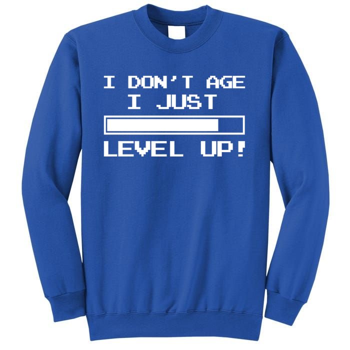 I Dont Get Old I Level Up Funny Retro Gamer Cute Gift Adult Great Gift Sweatshirt