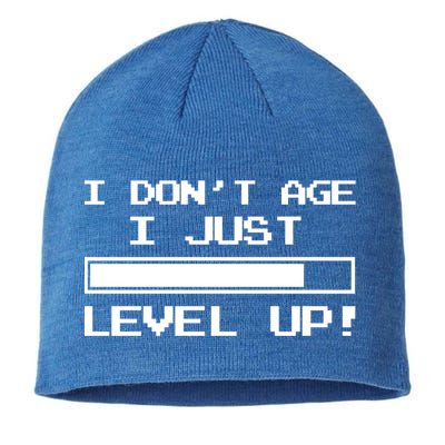 I Dont Get Old I Level Up Funny Retro Gamer Cute Gift Adult Great Gift Sustainable Beanie