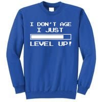 I Dont Get Old I Level Up Funny Retro Gamer Cute Gift Adult Great Gift Tall Sweatshirt