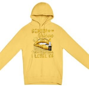 I Dont Get Older I Level Up Gemini Premium Pullover Hoodie