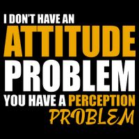 I Don't Have An Attitude Problem You Have A Perception Problem Stripe Pom Pom Beanie