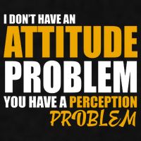 I Don't Have An Attitude Problem You Have A Perception Problem Ladies PosiCharge Tri-Blend Wicking Tank
