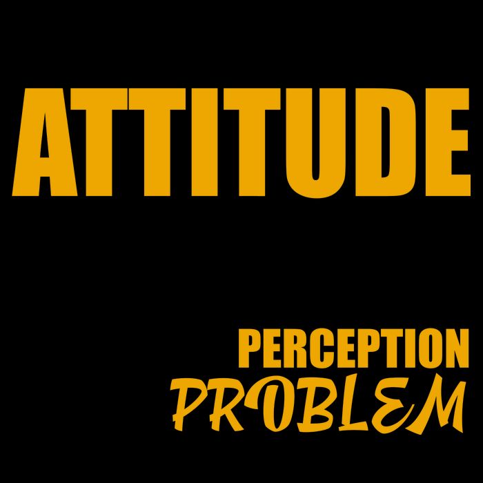 I Don't Have An Attitude Problem You Have A Perception Problem Mug