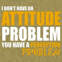 I Don't Have An Attitude Problem You Have A Perception Problem Garment-Dyed Women's Muscle Tee