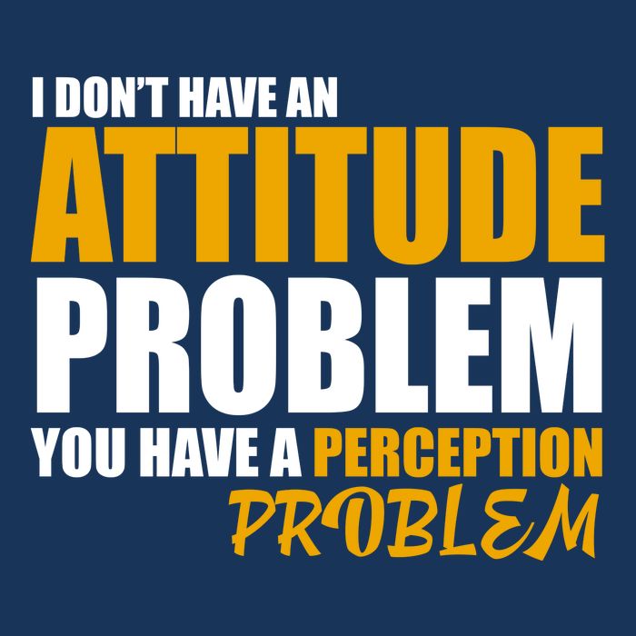 I Don't Have An Attitude Problem You Have A Perception Problem Garment-Dyed Heavyweight T-Shirt