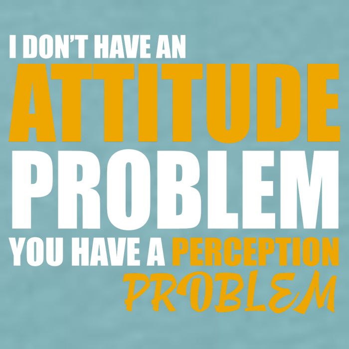 I Don't Have An Attitude Problem You Have A Perception Problem Sueded Cloud Jersey T-Shirt