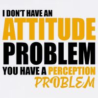 I Don't Have An Attitude Problem You Have A Perception Problem Garment-Dyed Sweatshirt
