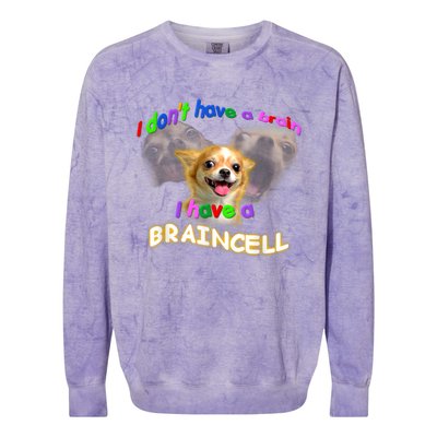 I Dont Have A Brain I Have A Braincell Meme Colorblast Crewneck Sweatshirt