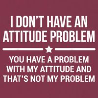 I Don't Have An Attitude Problem Funny Sarcasm 16oz Travel Tumbler