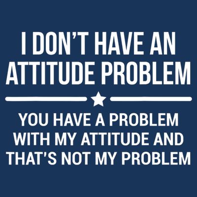 I Don't Have An Attitude Problem Funny Sarcasm Tee T-Shirt