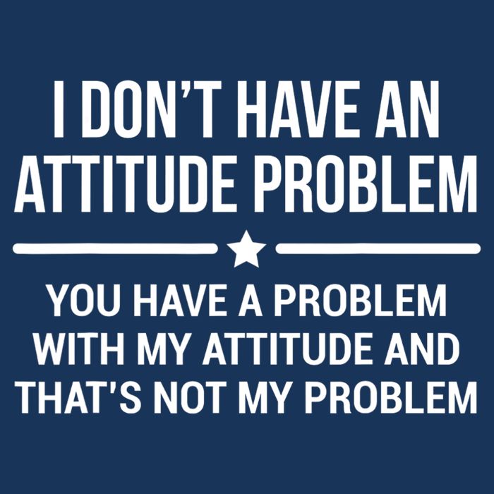 I Don't Have An Attitude Problem Funny Sarcasm Tee Toddler T-Shirt