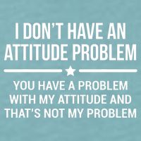 I Don't Have An Attitude Problem Funny Sarcasm Tee Sueded Cloud Jersey T-Shirt