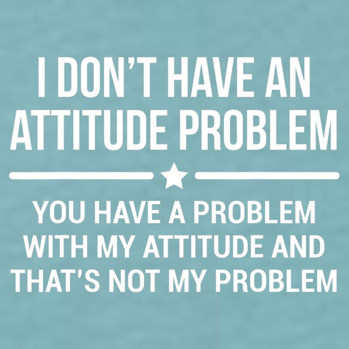 I Don't Have An Attitude Problem Funny Sarcasm Tee Sueded Cloud Jersey T-Shirt