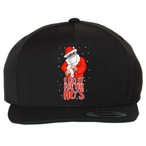 I Do It For The HoS Inappropriate Funny Christmas Adult Gift Wool Snapback Cap